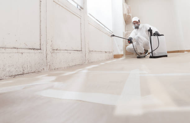 24/7 Emergency Mold Remediation experts in Thorofare, NJ
